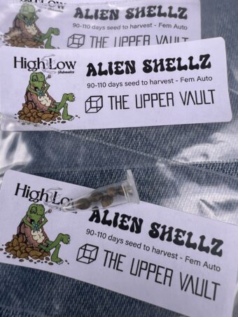 High Low Automatics - Seeds - Alien Shells - Auto Flower