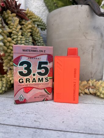 Blinkers Disposable  - Watermelon Z  - Hybrid - 3.5grams