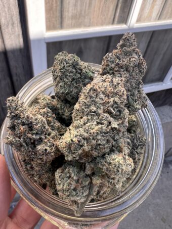 Dark Rainbow - Indica