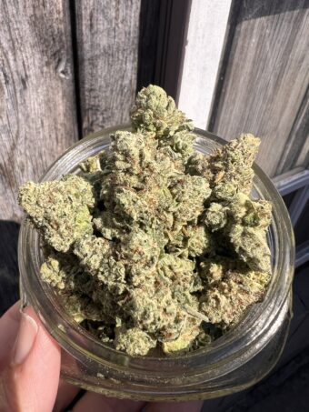 Alien Breath - Hybrid