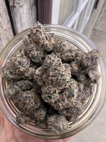 Pink ZeClair - Hybrid