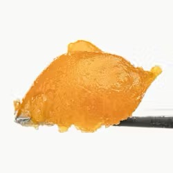 West Coast Cure - Honey Wine  - Sativa - Live resin badder - 1gram