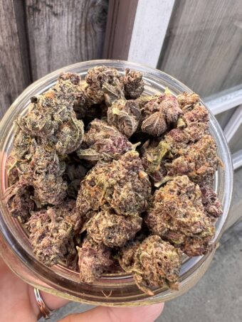 Cherry Tropicana - Indica