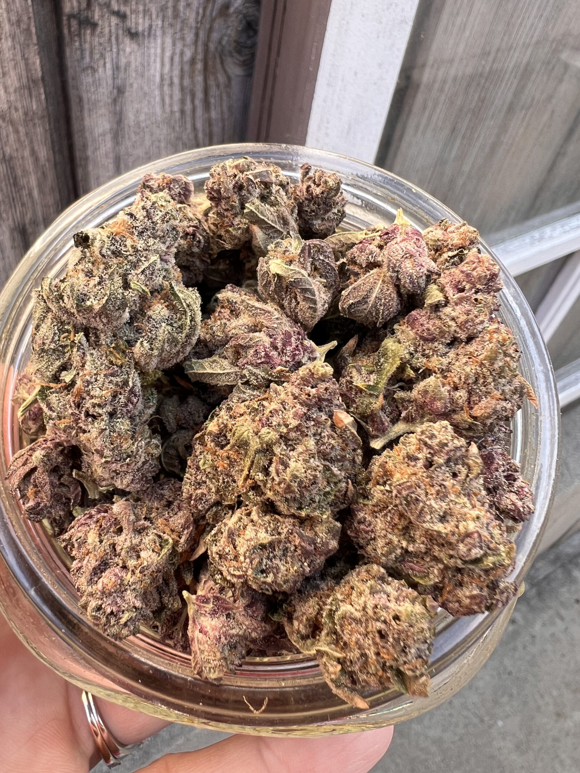 Cherry Tropicana – Indica