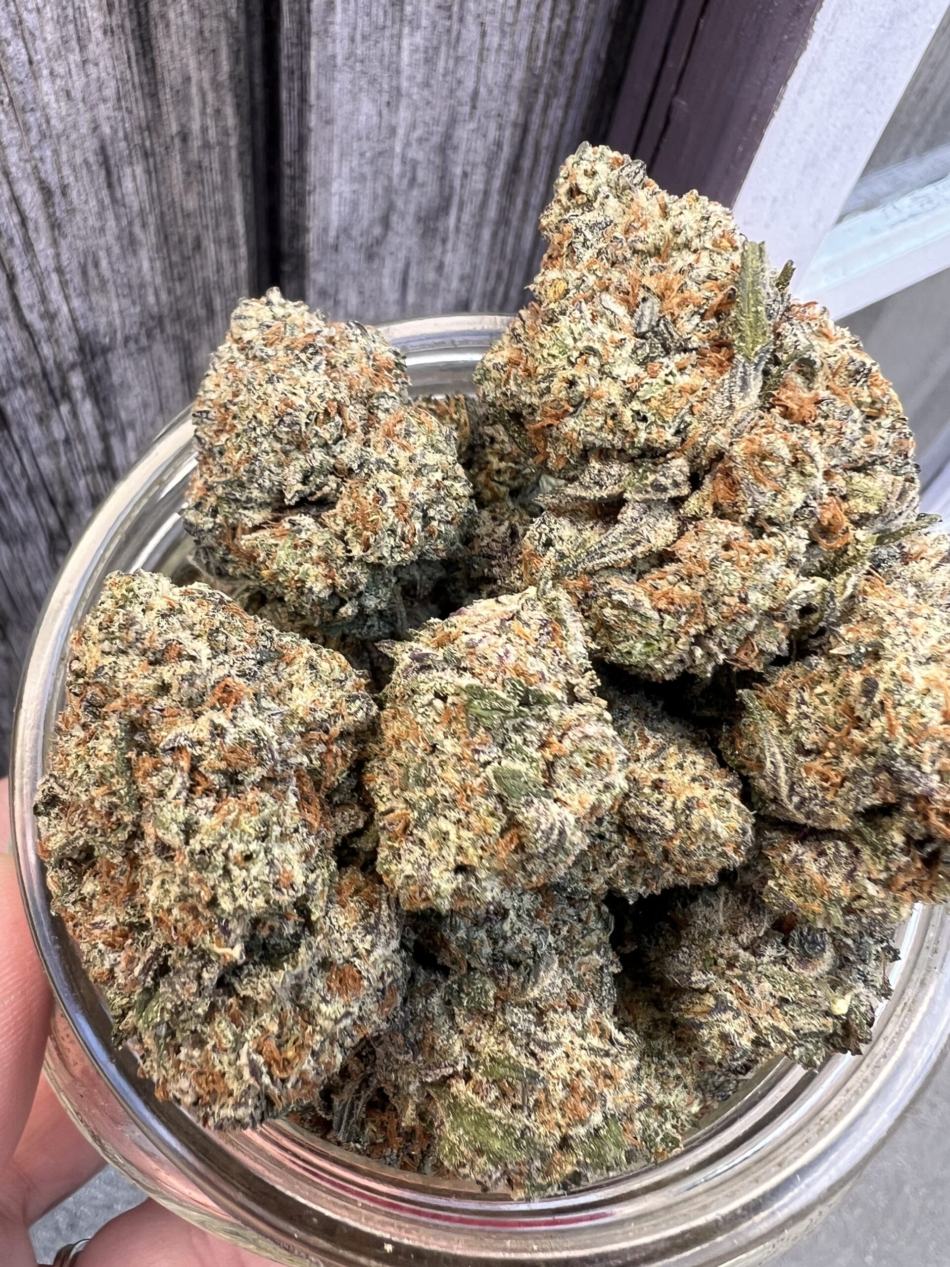 Frosted Donuts – Indica