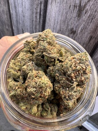 Ghost OG - Indica