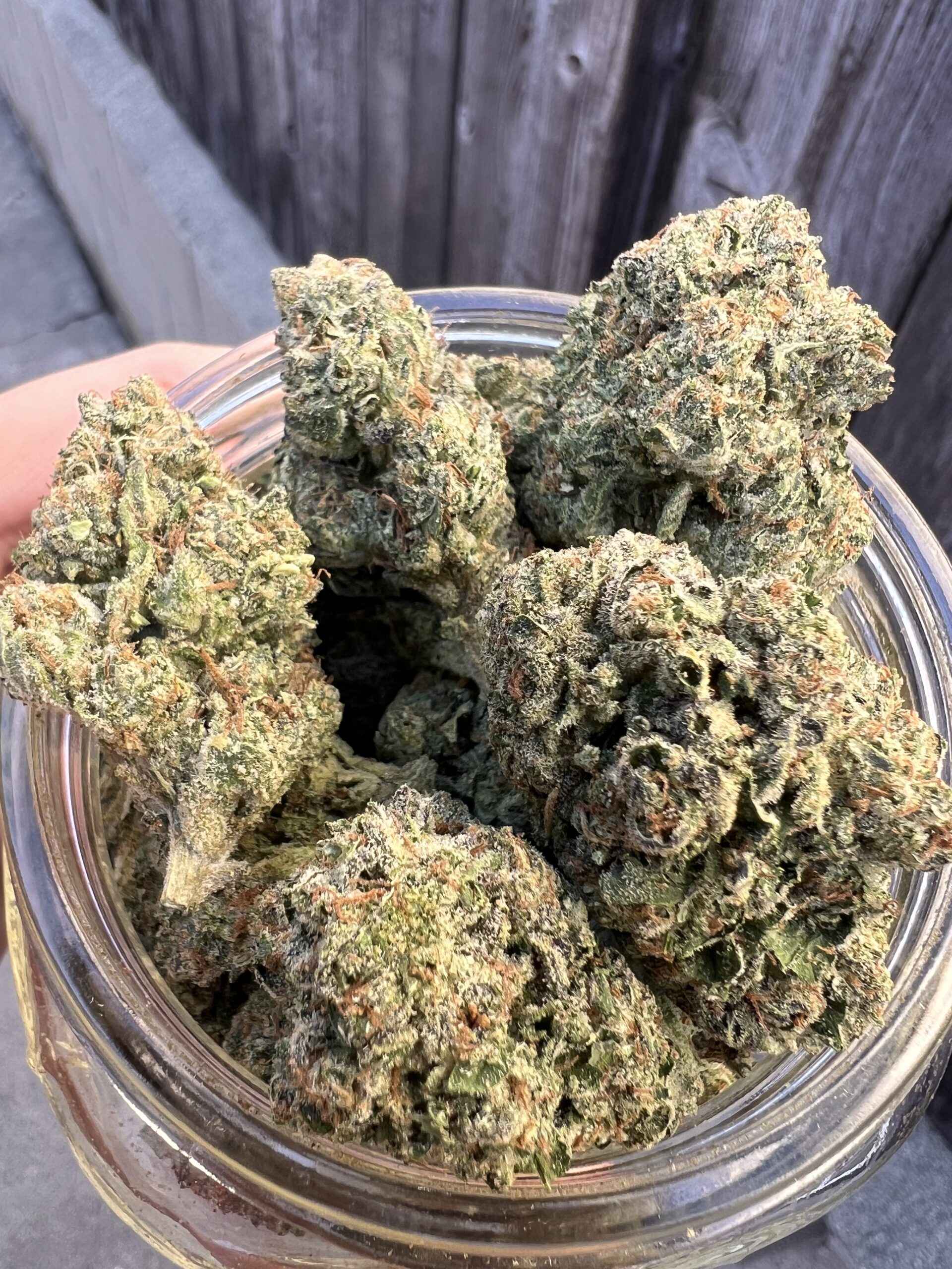 Red Velvet – Indica