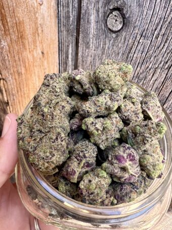 Glitter Bomb - Hybrid