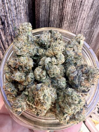 Cake Mix - Indica