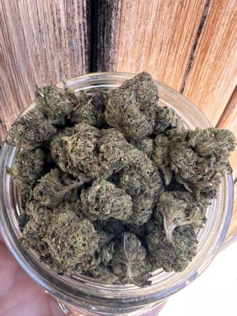 Lemon Cherry Gelato - Indica $100oz