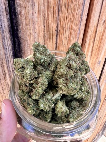 Blue Dream - Hybrid $80oz
