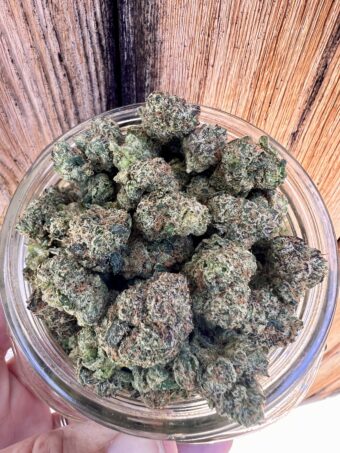 Hawaiian Fanta - Hybrid