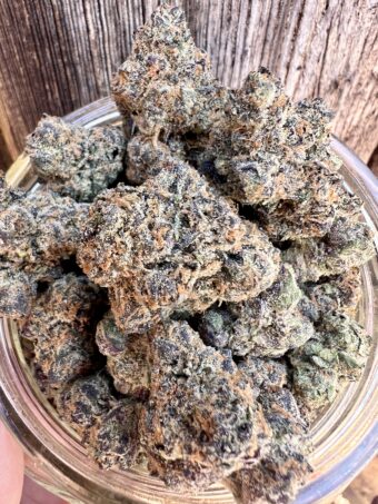 LA Pop Rocks - Indica