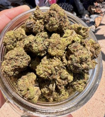 Lemon Cherry Gelato - Indica $100oz