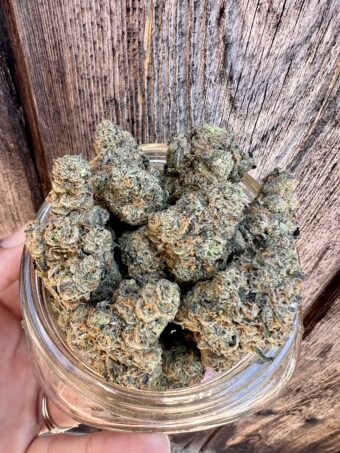 Mule Fuel - Indica