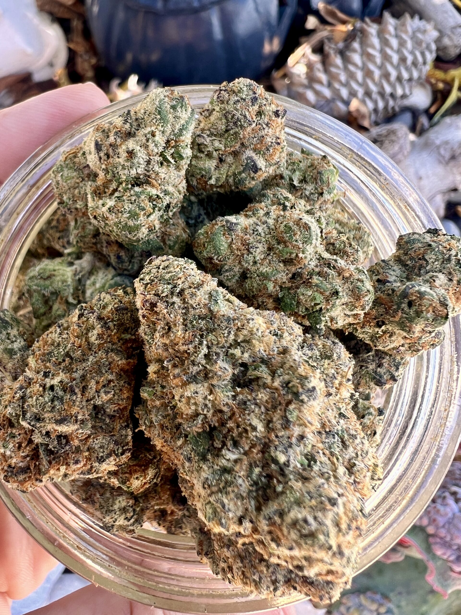 Cadillac Rainbows – Indica