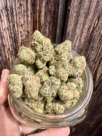 Moon Glow- Hybrid