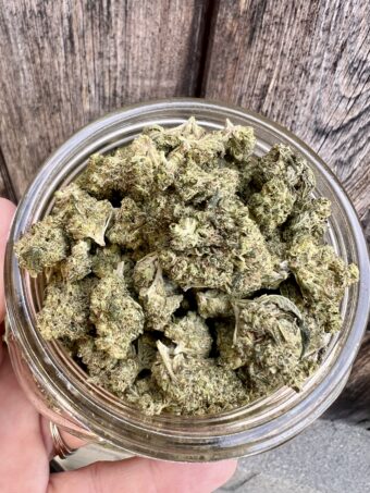 Candy Mintz - Hybrid $80oz