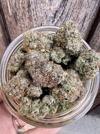 Candy Zerberts - Indica