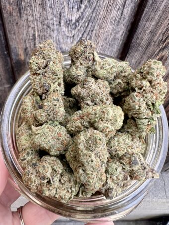 Lemon Bars - hybrid
