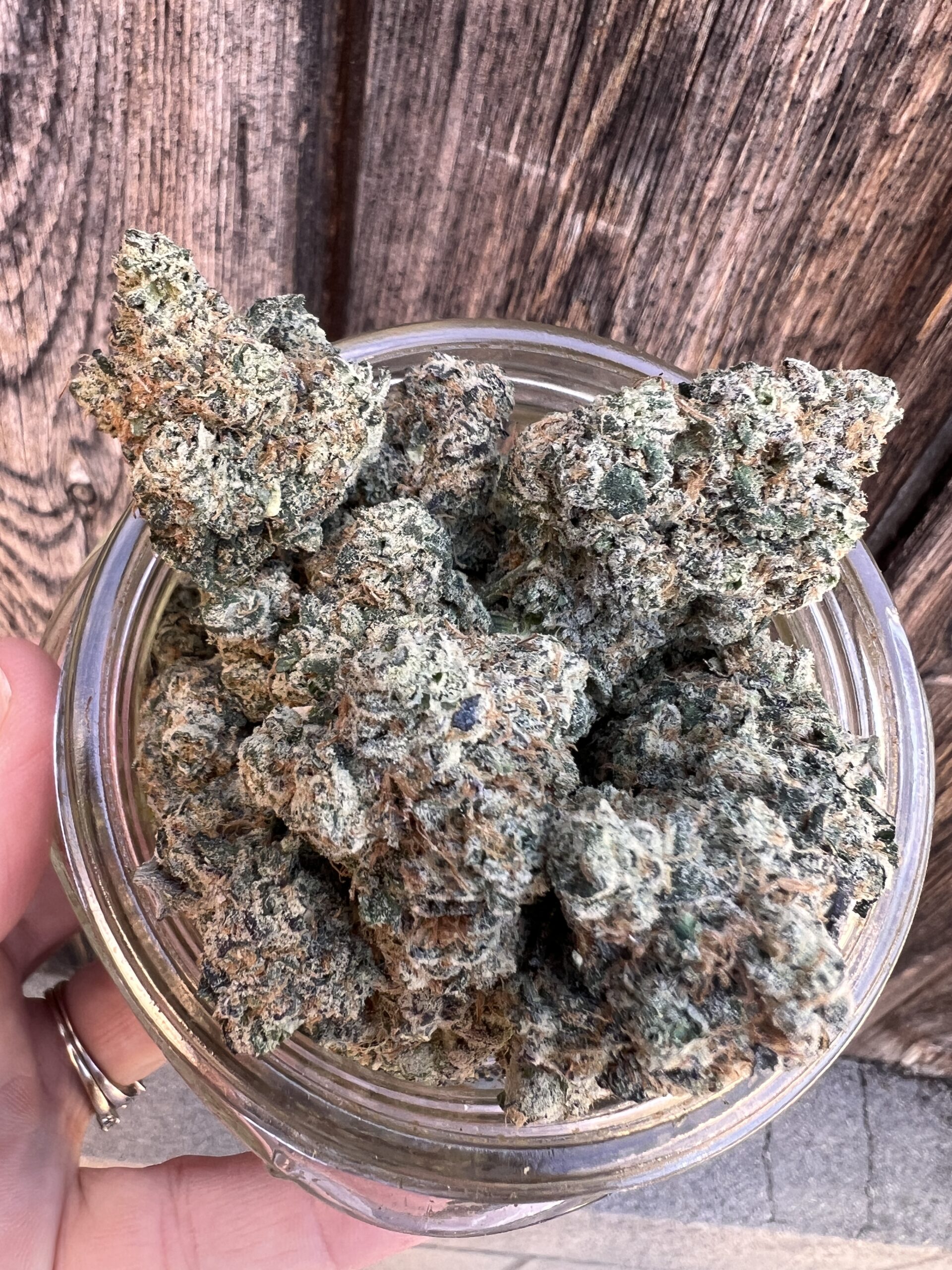 Milky Way – Indica