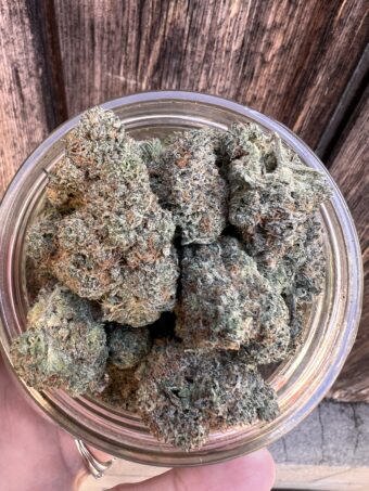 Double Scoop - Hybrid