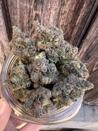 Apple Tartz - Hybrid