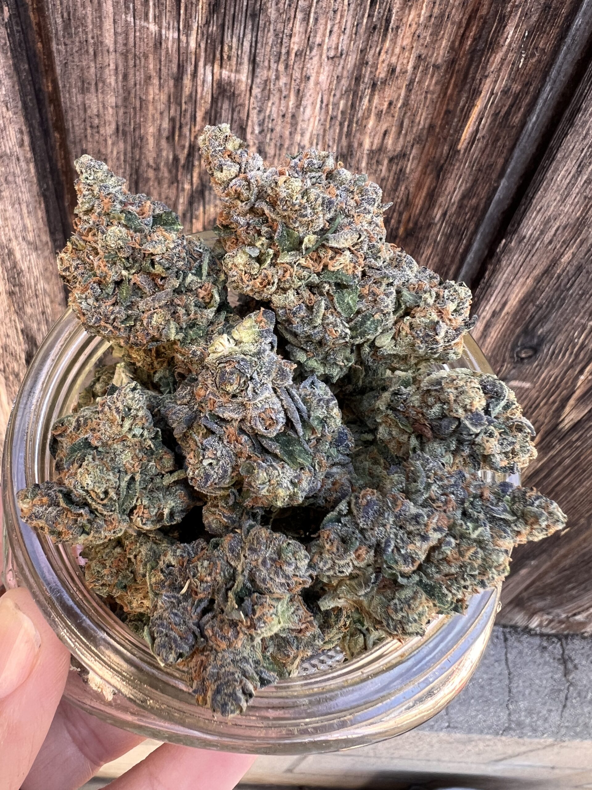 Apple Tartz – Hybrid